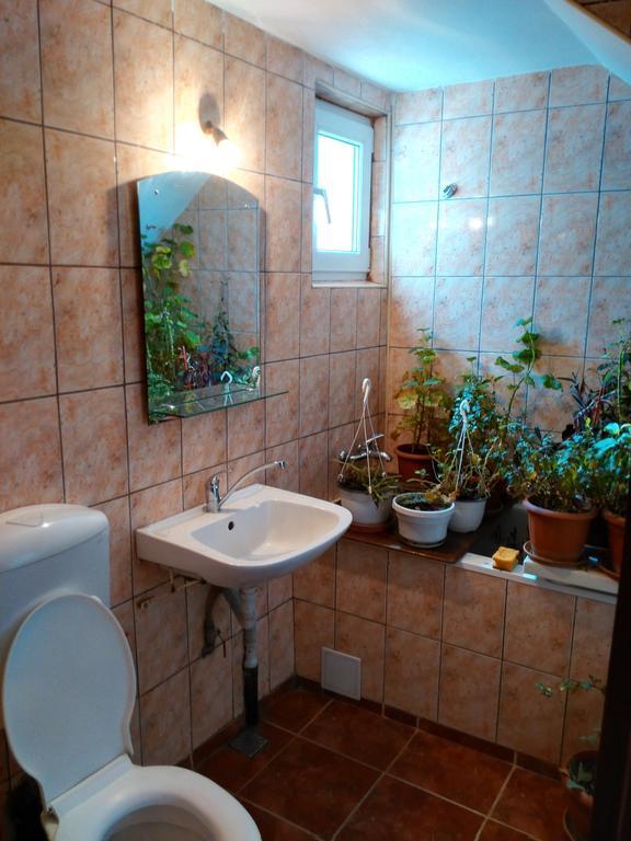Vila Marcela Buşteni Rum bild