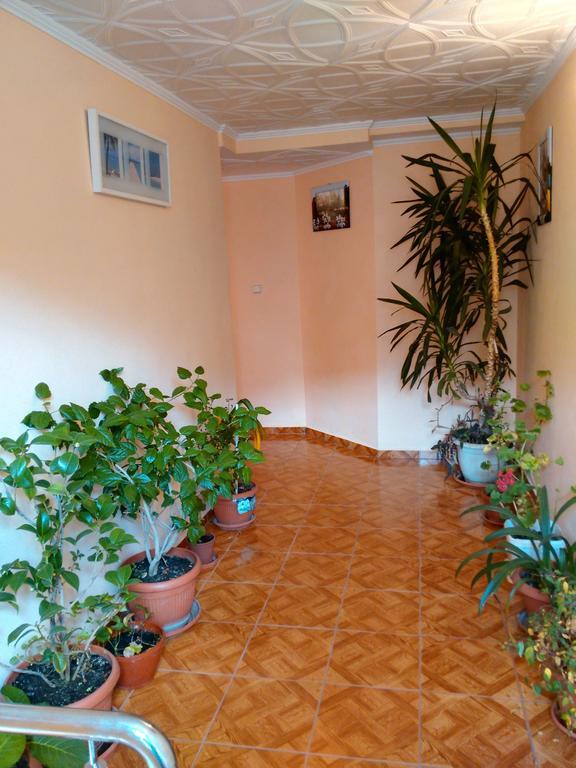 Vila Marcela Buşteni Rum bild