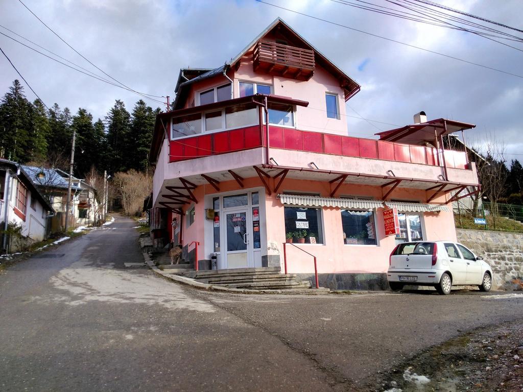 Vila Marcela Buşteni Rum bild
