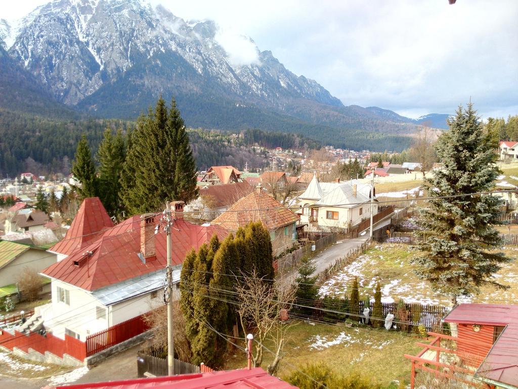 Vila Marcela Buşteni Rum bild