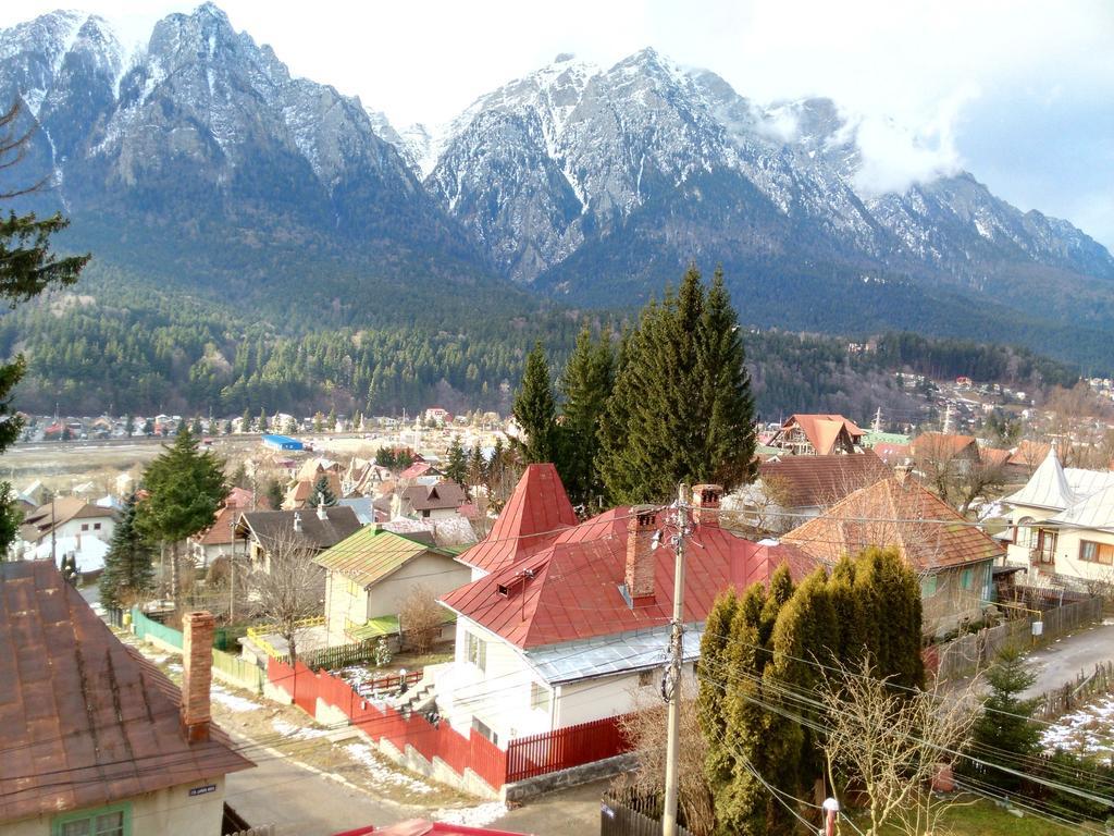 Vila Marcela Buşteni Rum bild
