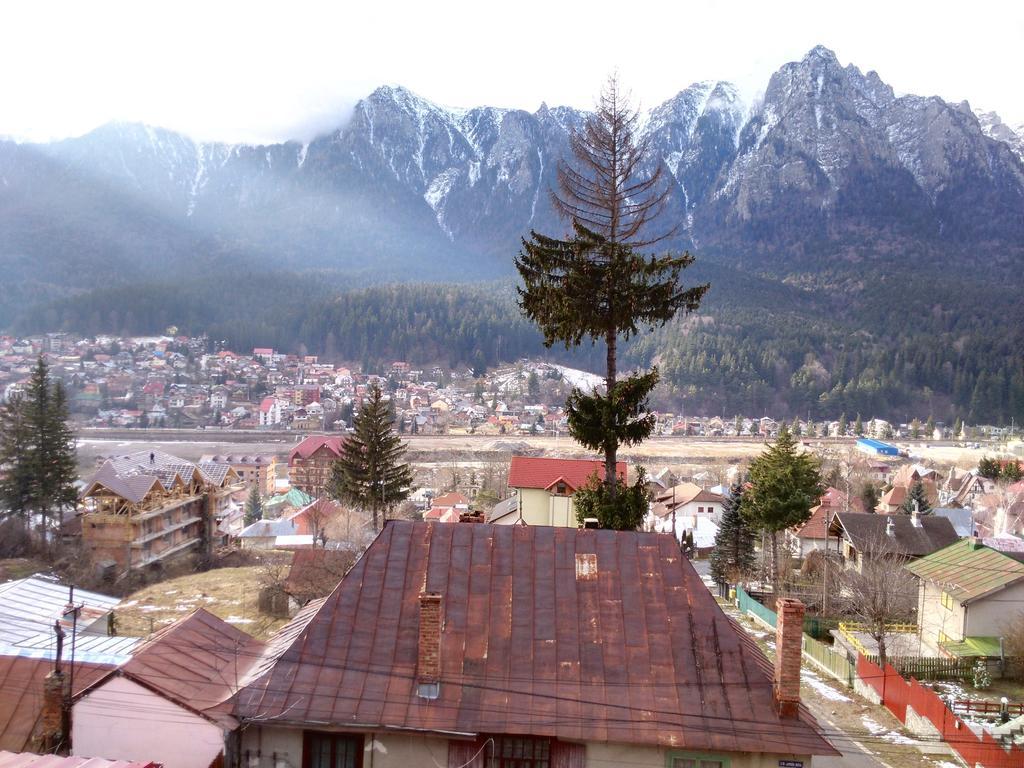 Vila Marcela Buşteni Rum bild