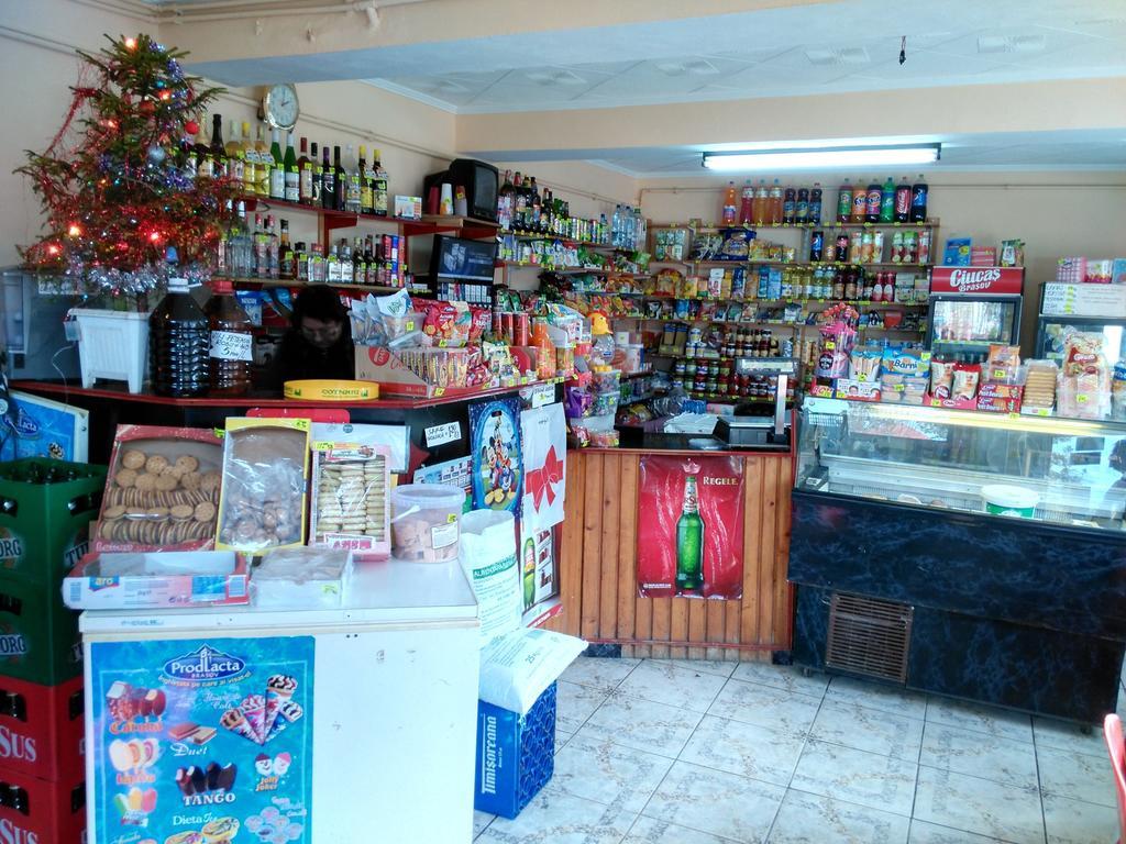 Vila Marcela Buşteni Rum bild