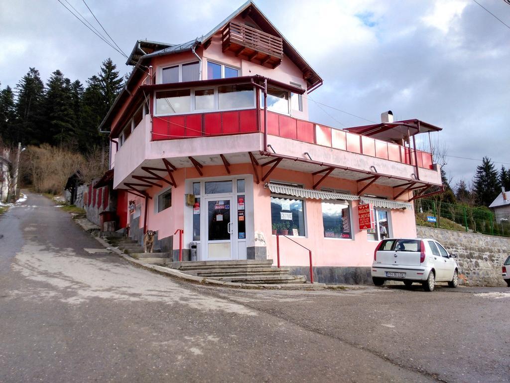 Vila Marcela Buşteni Exteriör bild