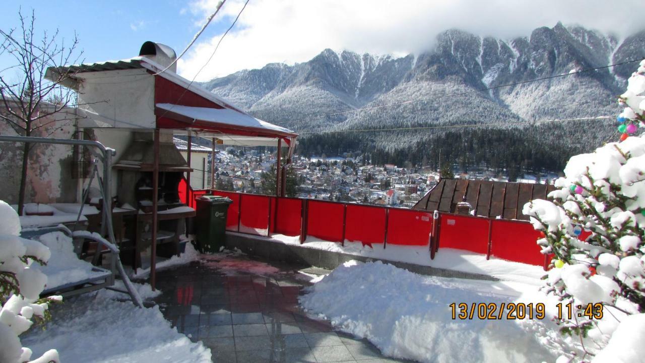 Vila Marcela Buşteni Exteriör bild