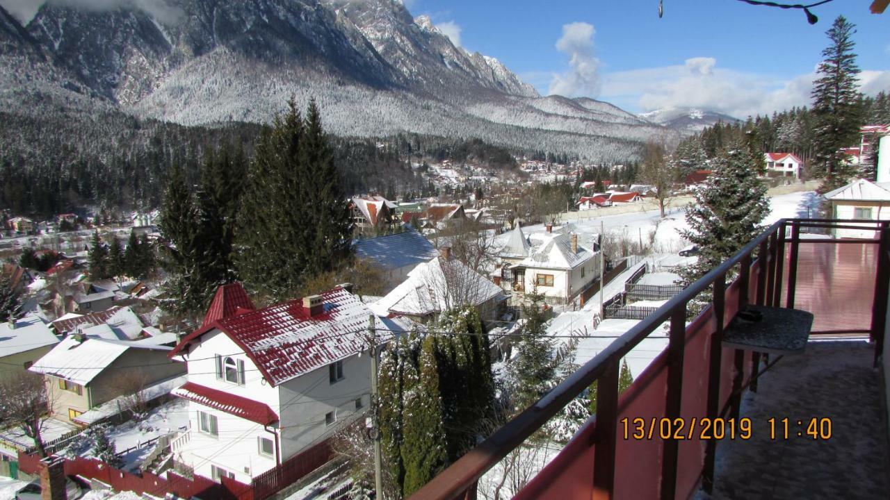 Vila Marcela Buşteni Exteriör bild